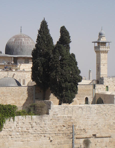 Prophet Dawud (David)