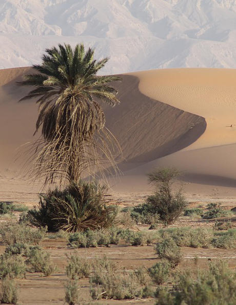 Prophet Adam (cont.)